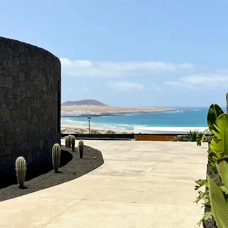 Canaryislandshost I Oliva *