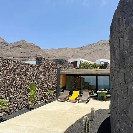 Canaryislandshost I Oliva *