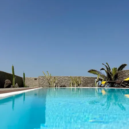 Canaryislandshost I Oliva *