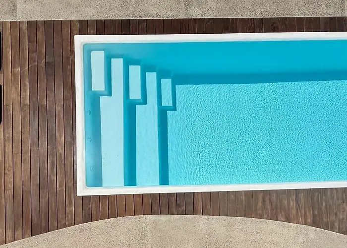 Canaryislandshost I Oliva *