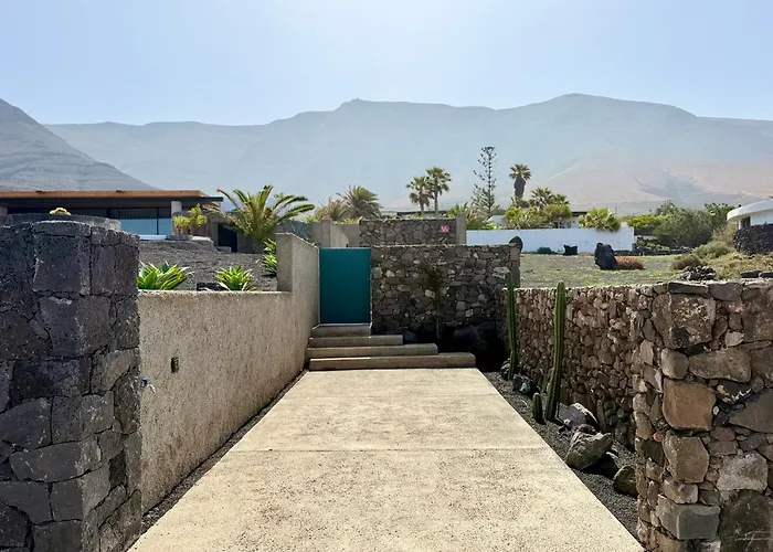 Canaryislandshost I Oliva *