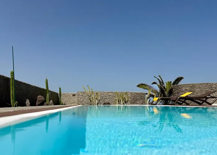 Canaryislandshost I Oliva *