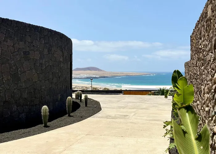 Canaryislandshost I Oliva *