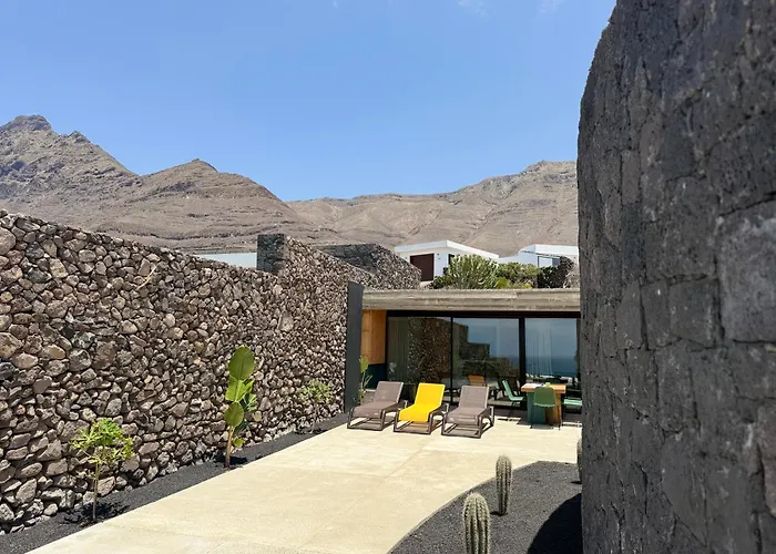 Canaryislandshost I Oliva *